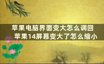 苹果电脑界面变大怎么调回 苹果14屏幕变大了怎么缩小